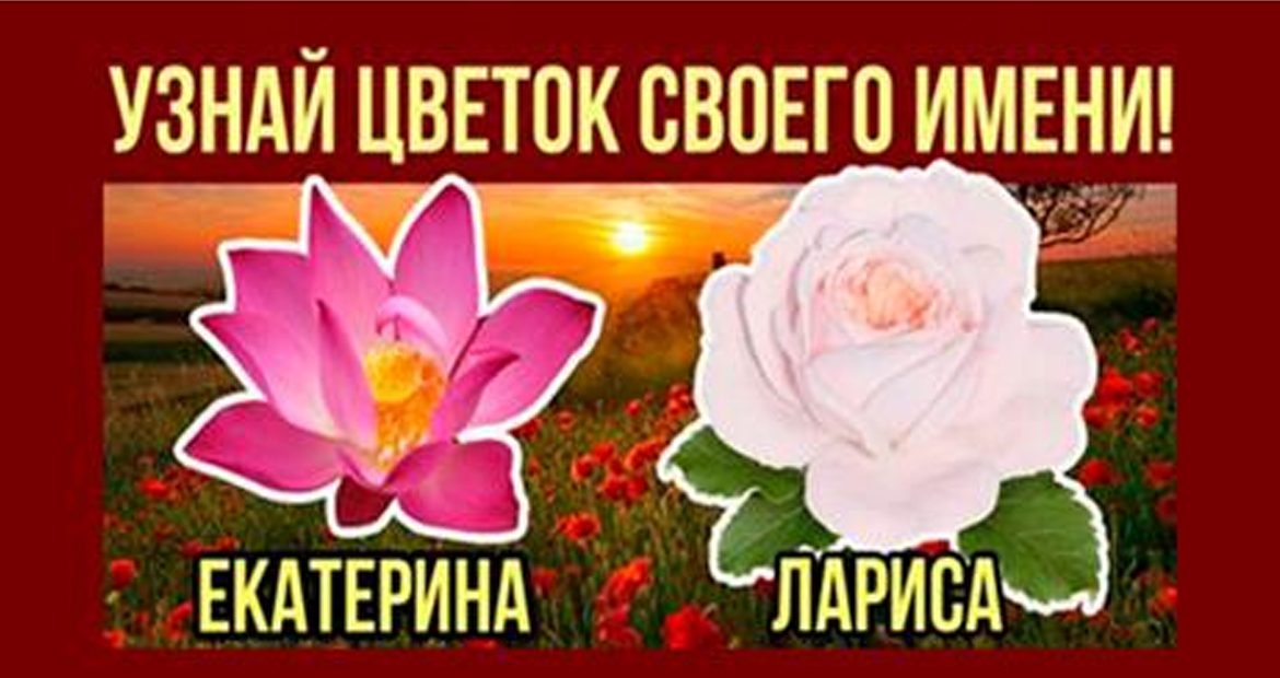 Лариса значение имени, характер и судьба Что означает имя Цветок имени Лариса